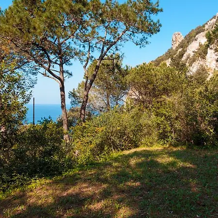 Nyaraló I Coralli